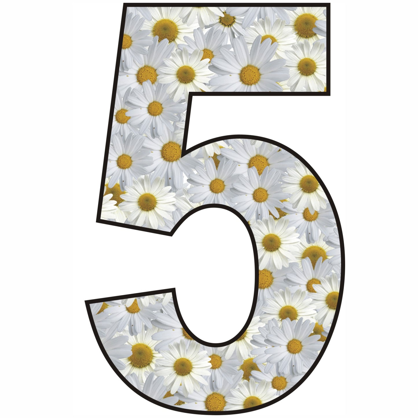 Daisy Wheelie Bin Numbers