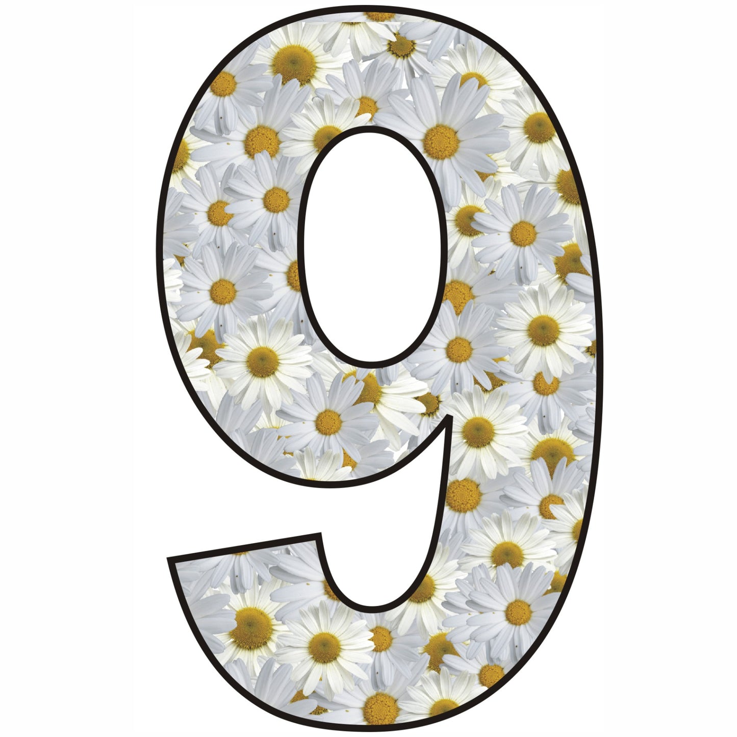 Daisy Wheelie Bin Numbers