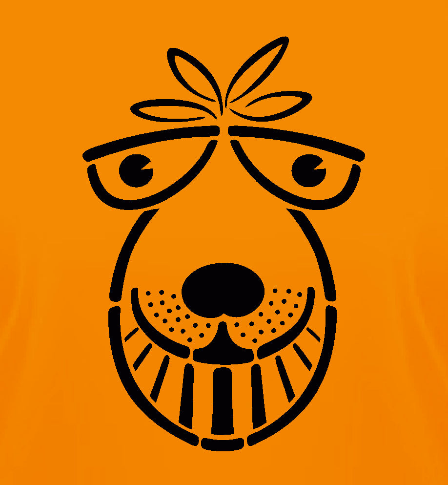 Space Hopper 1970's