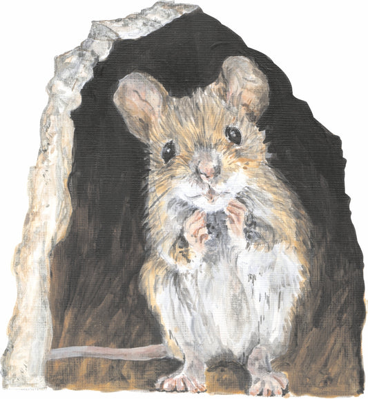 Mouse Hole